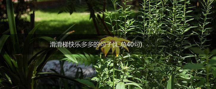 滑滑梯快乐多多的句子(汇总40句),第1张