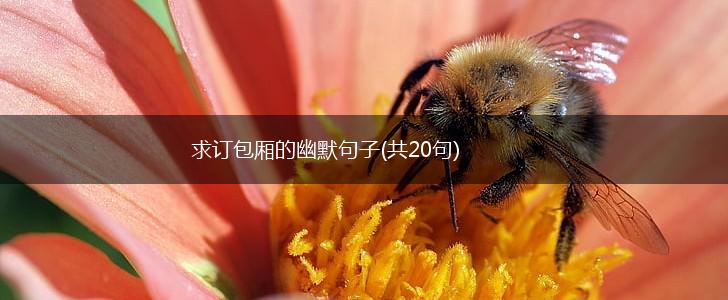 求订包厢的幽默句子(共20句),第1张