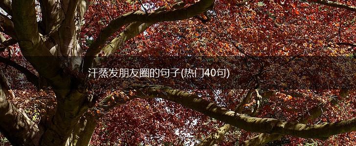 汗蒸发朋友圈的句子(热门40句),第1张