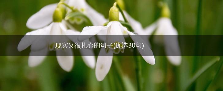 现实又很扎心的句子(优选30句),第1张