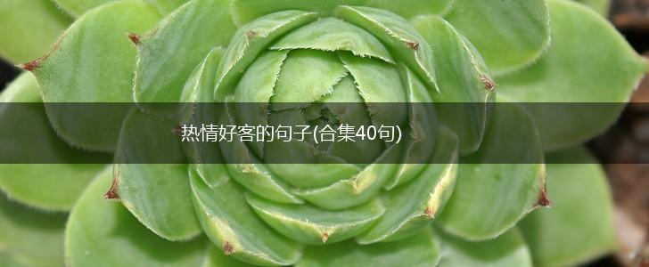 热情好客的句子(合集40句),第1张