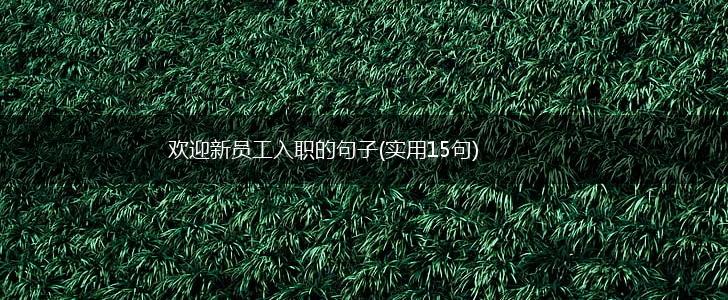 欢迎新员工入职的句子(实用15句),第1张