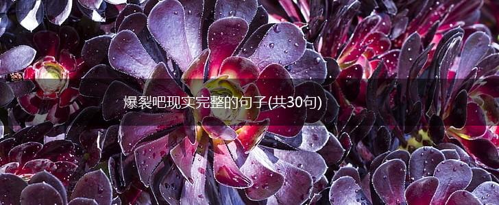 爆裂吧现实完整的句子(共30句),第1张