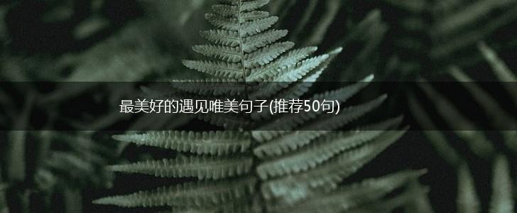 最美好的遇见唯美句子(推荐50句),第1张