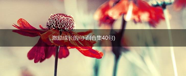 激励成长的句子(合集40句),第1张