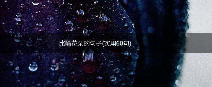 比喻花朵的句子(实用60句),第1张