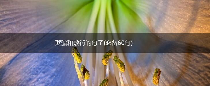 欺骗和敷衍的句子(必备60句),第1张