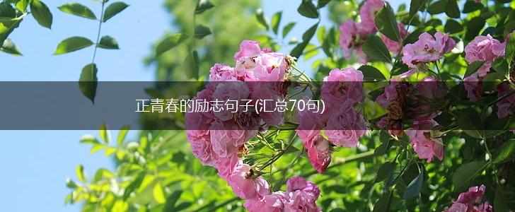 正青春的励志句子(汇总70句),第1张