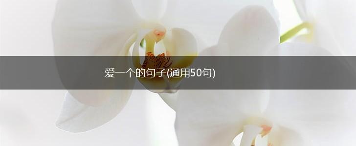 爱一个的句子(通用50句),第1张