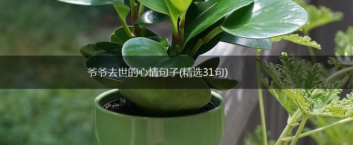 爷爷去世的心情句子(精选31句),第1张
