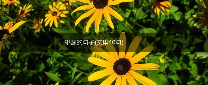 犯贱的句子(实用40句),第1张