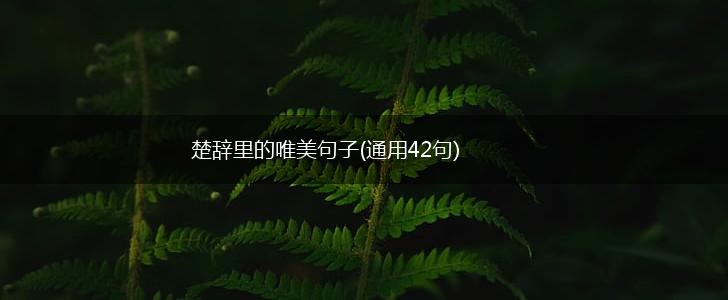 楚辞里的唯美句子(通用42句),第1张