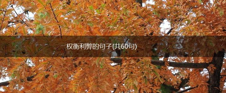 权衡利弊的句子(共60句),第1张