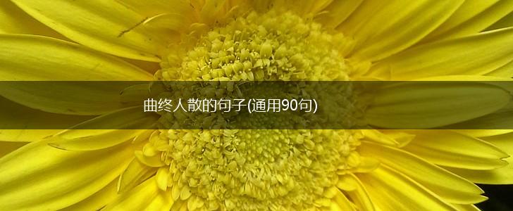 曲终人散的句子(通用90句),第1张