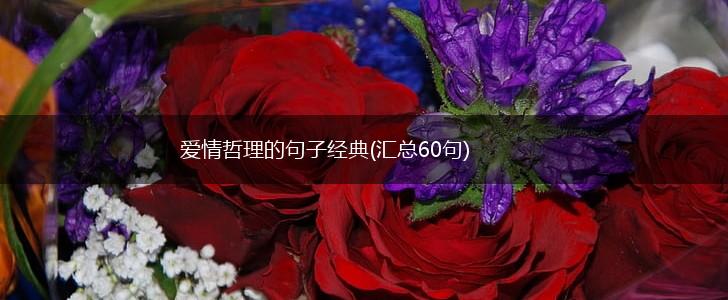 爱情哲理的句子经典(汇总60句),第1张