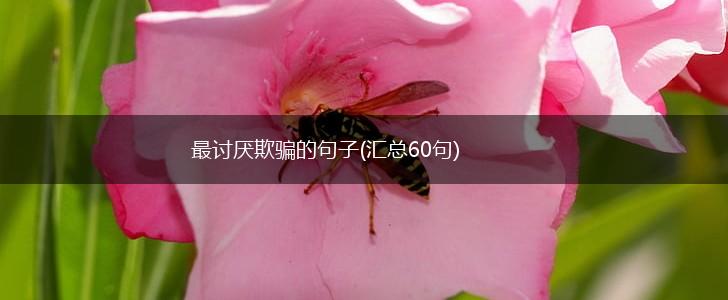 最讨厌欺骗的句子(汇总60句),第1张