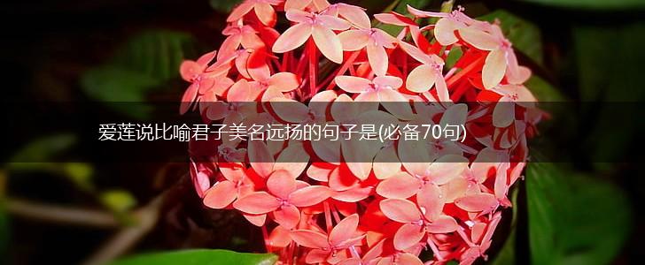 爱莲说比喻君子美名远扬的句子是(必备70句),第1张