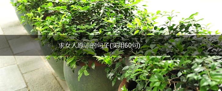 求女人原谅的句子(实用60句),第1张