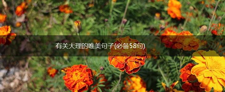 有关大理的唯美句子(必备58句),第1张