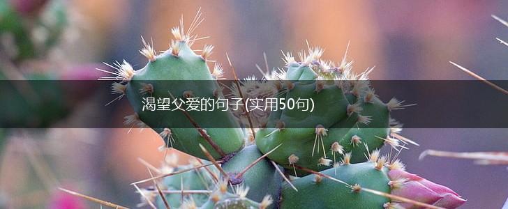 渴望父爱的句子(实用50句),第1张