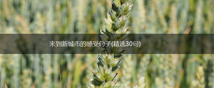 来到新城市的感受句子(精选30句),第1张