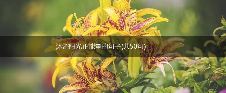 沐浴阳光正能量的句子(共50句),第1张