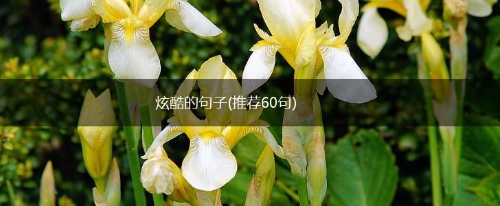 炫酷的句子(推荐60句),第1张