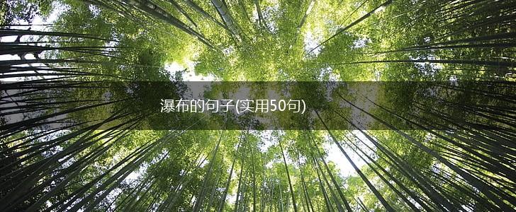 瀑布的句子(实用50句),第1张