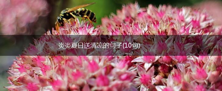 炎炎夏日送清凉的句子(10句),第1张