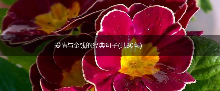 爱情与金钱的经典句子(共30句),第1张
