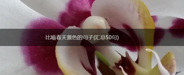 比喻春天景色的句子(汇总50句),第1张