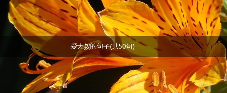 爱大叔的句子(共50句),第1张
