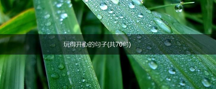 玩得开心的句子(共70句),第1张