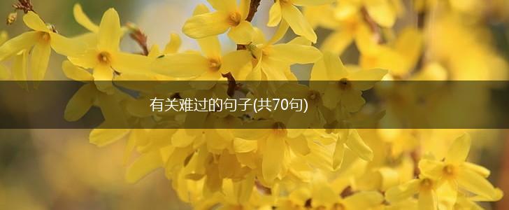 有关难过的句子(共70句),第1张