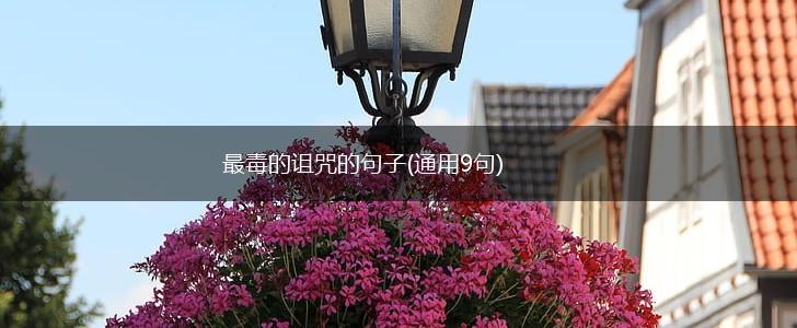 最毒的诅咒的句子(通用9句),第1张