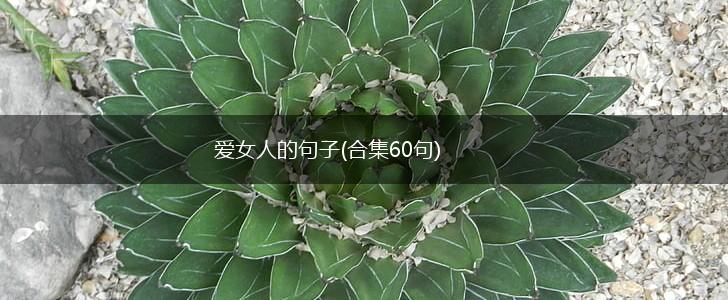 爱女人的句子(合集60句),第1张