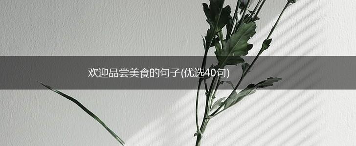 欢迎品尝美食的句子(优选40句),第1张