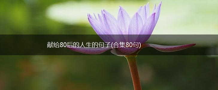 献给80后的人生的句子(合集80句),第1张