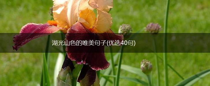湖光山色的唯美句子(优选40句),第1张