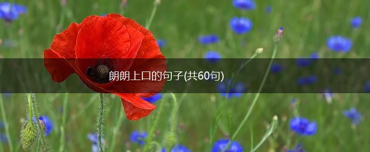 朗朗上口的句子(共60句),第1张