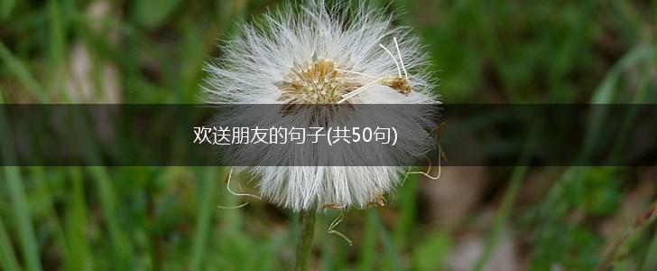 欢送朋友的句子(共50句),第1张