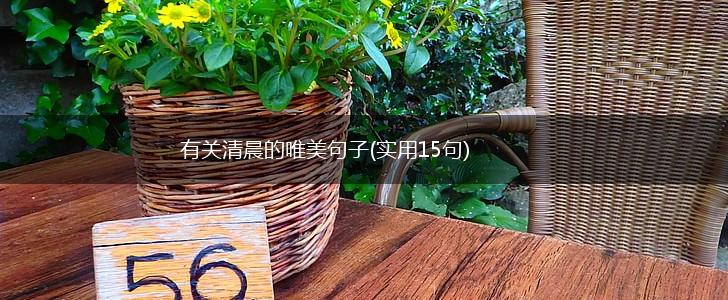 有关清晨的唯美句子(实用15句),第1张