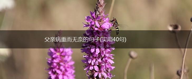 父亲病重而无奈的句子(实用40句),第1张