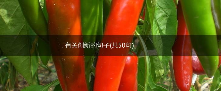 有关创新的句子(共50句),第1张