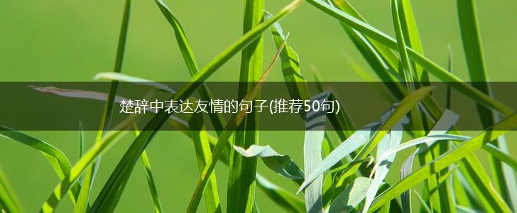 楚辞中表达友情的句子(推荐50句),第1张