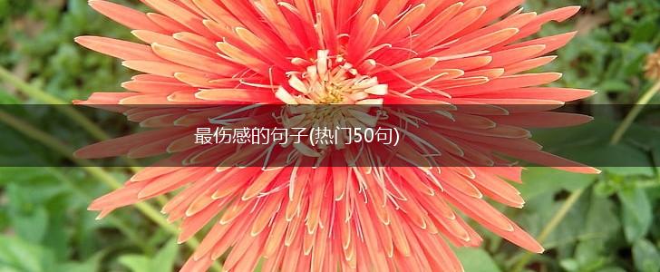 最伤感的句子(热门50句),第1张