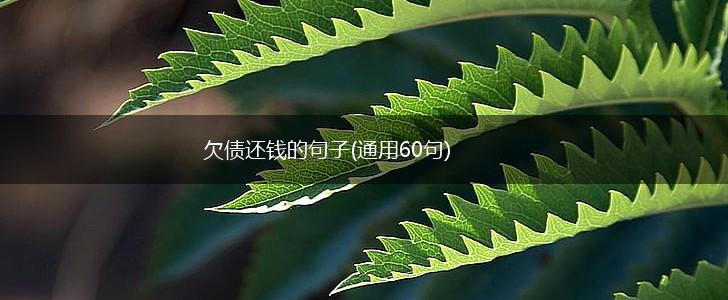 欠债还钱的句子(通用60句),第1张