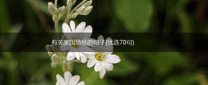 有关家国情怀的句子(优选70句),第1张