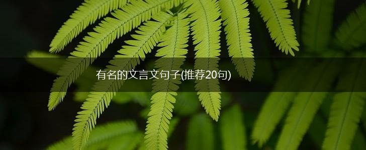 有名的文言文句子(推荐20句),第1张