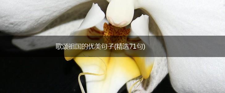 歌颂祖国的优美句子(精选71句),第1张